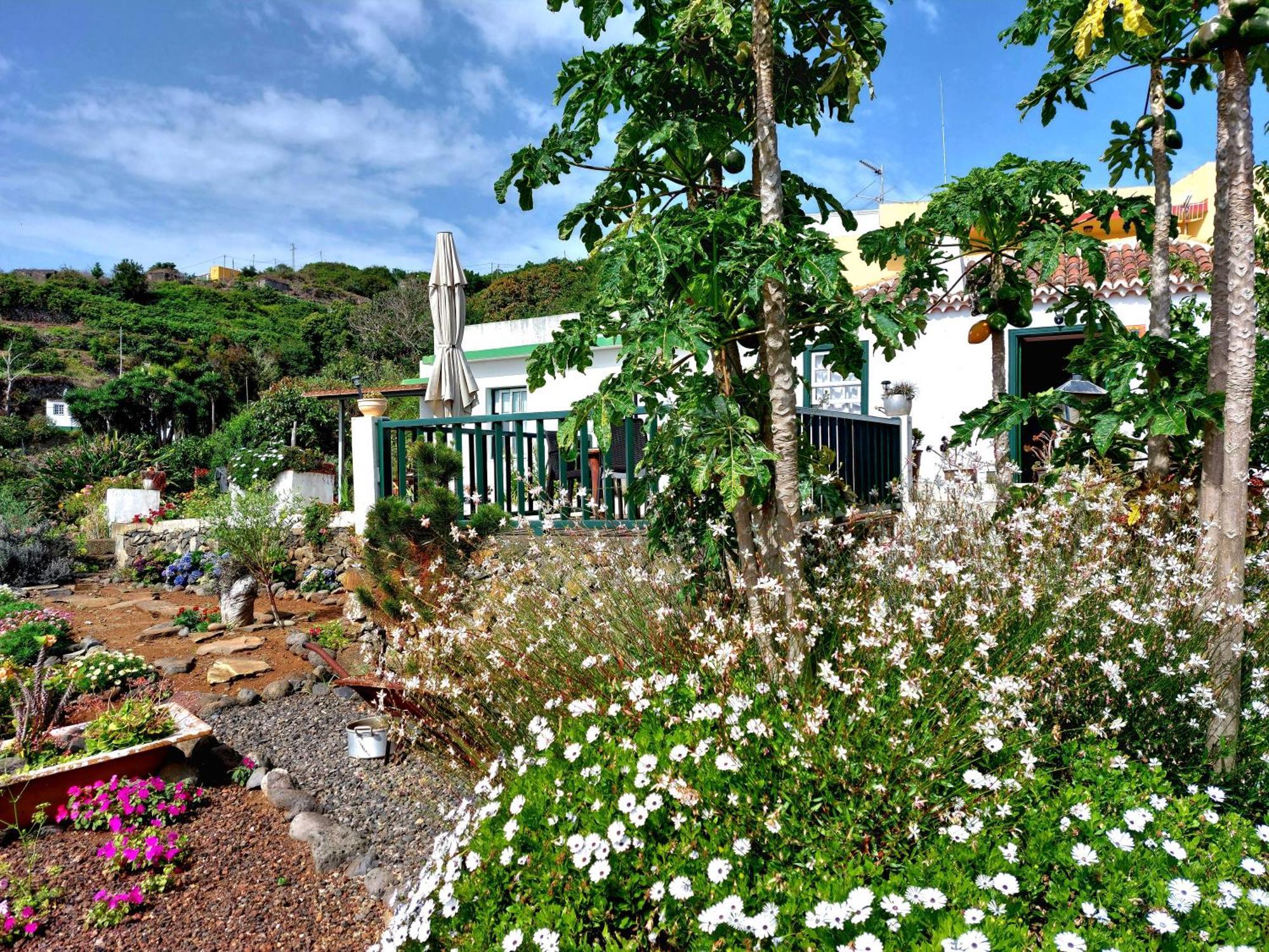 Eloina Villa Barlovento Ngoại thất bức ảnh